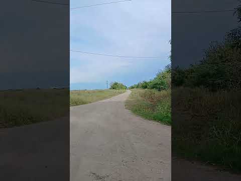 Colonia Avellaneda. Dto. Sauce. Parana Campaña. E. Rios. Parte 2