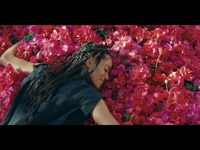 40ML KENZO Flower By Kenzo Ikebana Eau de Parfum Spray  4 of 4 