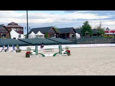 Eclat du Cerisier 7 year old Final Tryon 2nd place