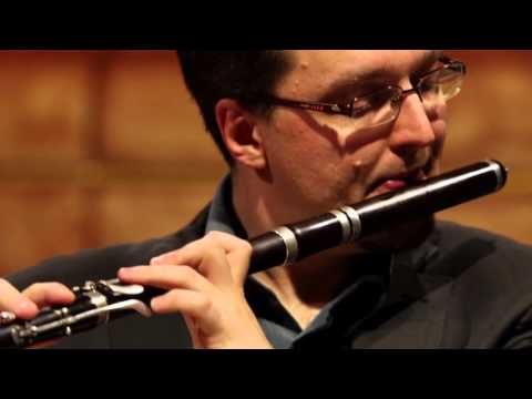 Eugène Walckiers: Duo in B minor op. 57 no. 1 (Boléro) | Anna Besson, Alexis Kossenko