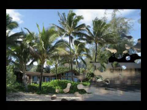 Lost Summer - Paul Hardcastle