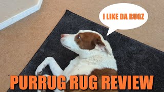 Random Review: PURRUGS Rug Review