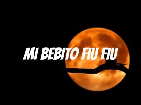 Tito Silva x Tefi C - Mi Bebito Fiu Fiu (Letra_Lyrics)