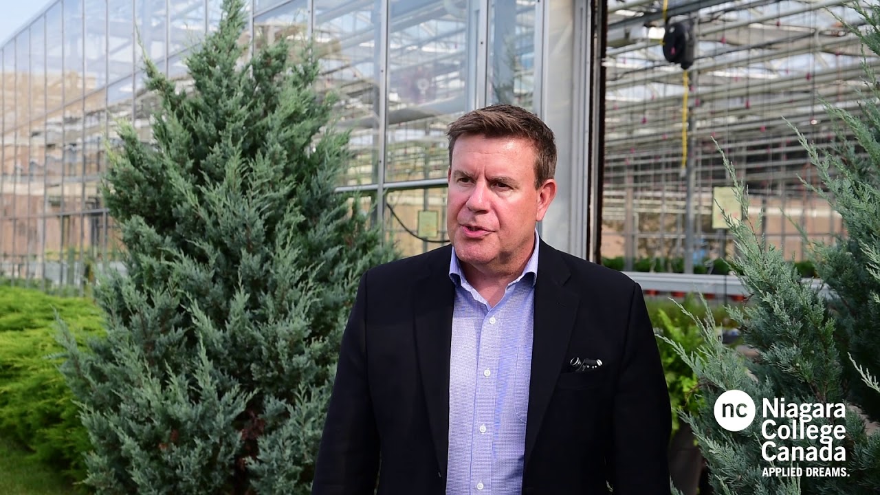 Niagara College Commercial Cannabis Production Program