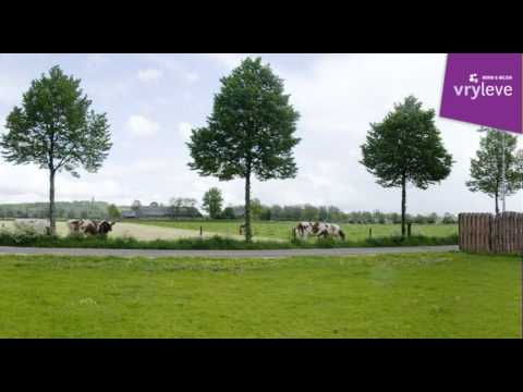 Woonstichting Vryleve - Nieuwbouwplan Spijk