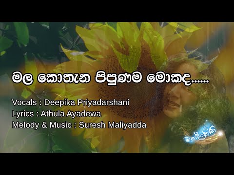 LYRICS | මල කොතැන පිපුණම මොකද .. | Mala Kothan pipunama mokada..... | Deepika Priyadarshani