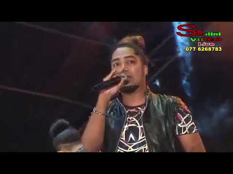 all right new superb nonstop