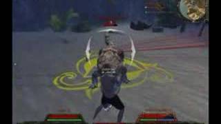 Topless crocodile brawl