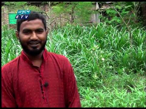 নিজ আঙিনায় সবজি বাগান