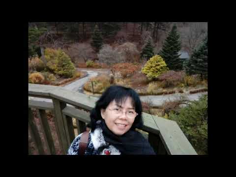 HARMONI KEHIDUPAN    DHENOK WAHYUDI