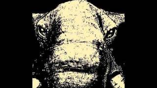 Mastedon -  It&#39;s A Jungle Out There