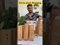 Online पौधों की Shopping ️ Gardeningwithnanav Plantshopping Onlineplants