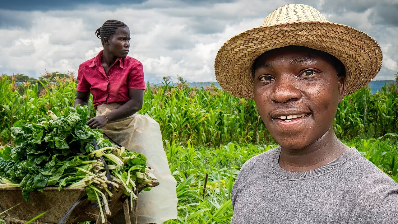 De Volta à Roça – Surpreso  Com as Mudanças