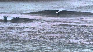 One Day in The Island