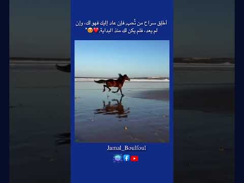 تابعني لترى الافضل ان شاء الله