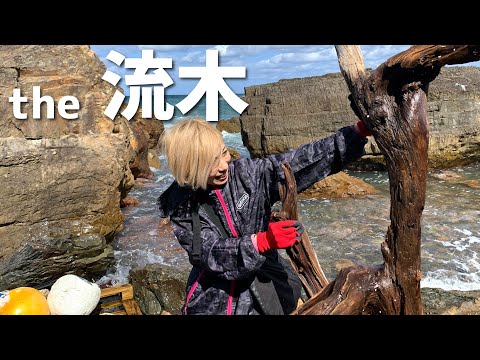 庭を彩る枯れ木、流木、切り株  庭園