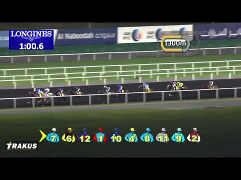 16.01.2014 Meydan (Dubai-UAE) 1.Race Dubai Duty Free Tennis Championships - Handicap 2.200 m