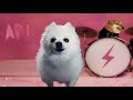 APT Dog Version