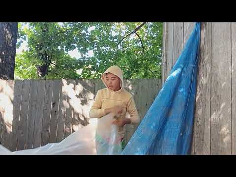 INSTALLING  moisture barrier for a greenhouse | PART ONE