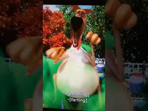 #funny #madagascar Marmaduke fart at Dave #marmaduke