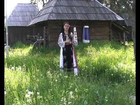 Oana Bogdana POP - frunza verdetamaita