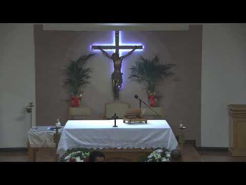 26/11/2023 SOLEMNIDAD DE NUESTRO SEÑOR JESUCRISTO, REY DEL UNIVERSO - Misa en Español, 11h00 -