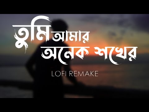 Tumi Amar Onek Shokher Jony (Lofi Remake) | তুমি আমার অনেক শখের | Piran Khan | Lofi's Book Bangla