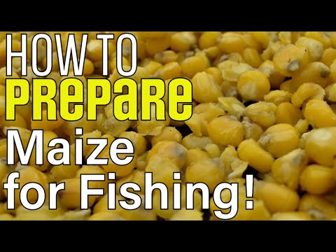 How To Prepare Maize for Fishing! #carpfishing #fishing