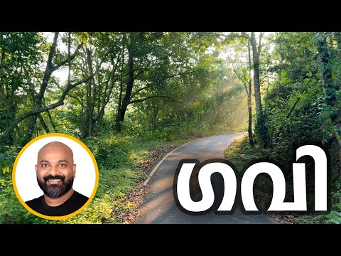 ഗവിയിലെ കാഴ്ച്ചകൾ | Exploring Gavi - Forest Jeep Safari, Trekking, Boating and Waterfall