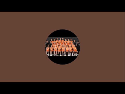 Dolphins F2013 Svart 2 - LBK Röd