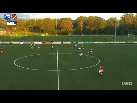 Samenvatting BWO - Tubantia