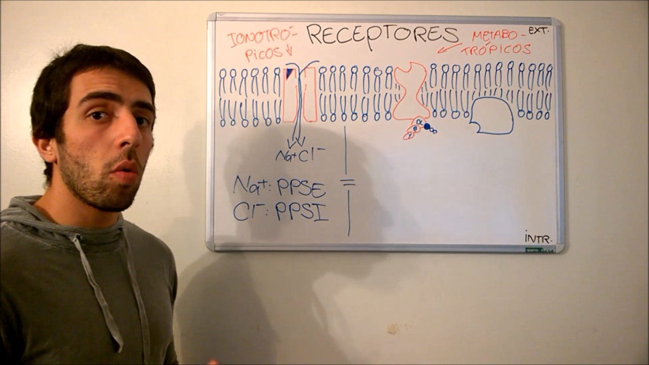Neurofisiologia - Receptores Sinapticos