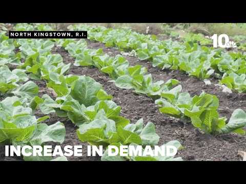 Rhode Island Craigslist Cultivated
