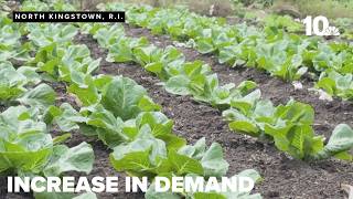 Farmers see more demand for locally-grown produce amid Cyclospora outbreak