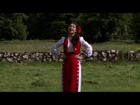 Muzică ușoară - voce și instrumente