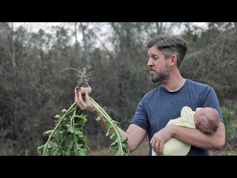 The Survival Root Crop I Didn't Know I Liked or Why You Should Grow Turnips