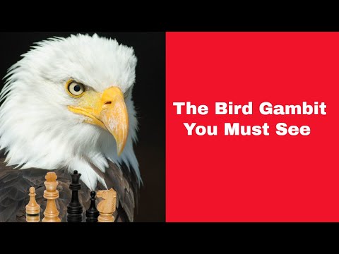 The Bird Gambit You Must See | Henry Edward Bird vs NN: Unknown 1869