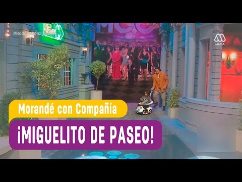 Miguelito de paseo - Morandé con Compañía 2016