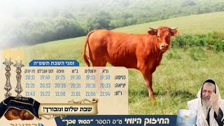 #פרשתהשבוע #פרשת_חוקת #תמימות #הרב_נחמן_שלמה בנו של #הרב_מאיר_שלמה (הרב מאיר שלמה זצ"ל) - התמונה מוצגת ישירות מתוך אתר האינטרנט יוטיוב. זכויות היוצרים בתמונה שייכות ליוצרה. קישור קרדיט למקור התוכן נמצא בתוך דף הסרטון