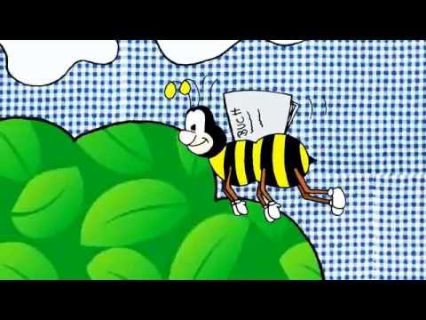 Das Rückenmark: Bau und Funktion | Biologie | Neurobiologie