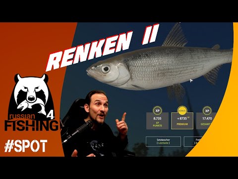 Russian Fishing 4 - Vuoksi Renke - Ladoga, Renke, Maräne, Match Teil 2