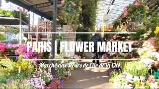 【パリ暮らし】香り漂う春のパリvlog | PARIS AU PRINTEMPS |フラワーマーケット