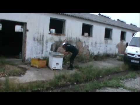 3. Practical beekeeping - Bio Beehive on the hearth bought by an enthusiast + tips for getting st...