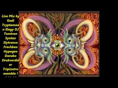 Live Mix by Godi Tryptamoon Elegy DJ Tomtron Syntax Slytrance Frechbax Hypogeo Dansko Drukverdeler T
