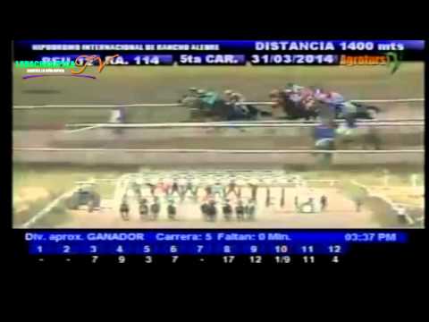 RANCHO ALEGRE 5 CARRERA LUNES 31 DE MARZO DEL 2014