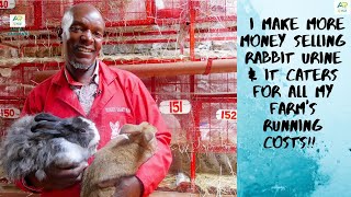 Selling rabbit urine is a  "cash cow