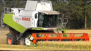 preview picture of video 'Claas Lexion 570 TerraTrac mietitura riso / rice harvest 25/10/2014'