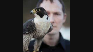 Lawrence English - The Hunting Life (radio promo edit)