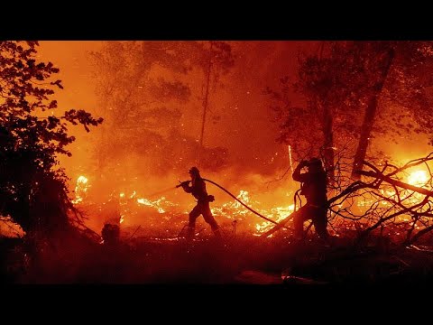 No Comment: erdőtűz Kaliforniában