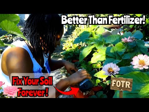 Soil Health Secret: Fix Soil Forever With This One Amendmen